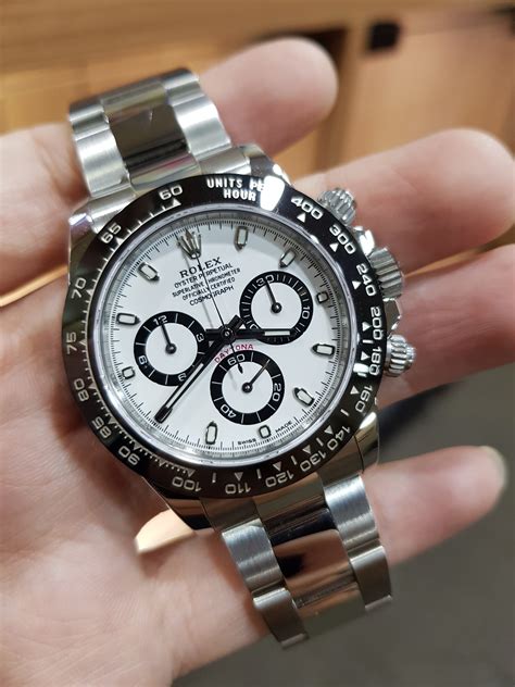 rolex panda prezzo